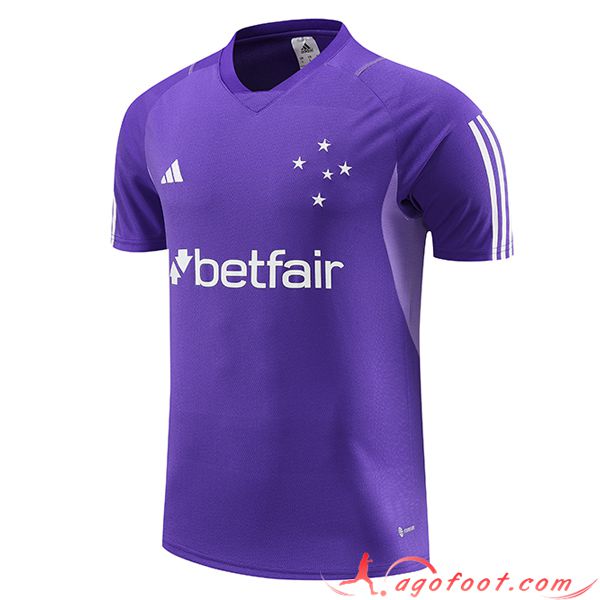 Training T-Shirts Cruzeiro Pourpre 2023/2024