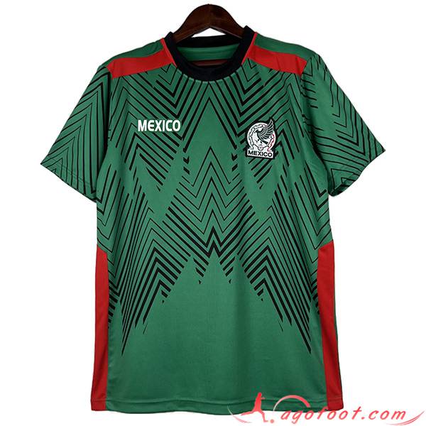 Maillot Equipe Foot Mexique Vert 2023/2024