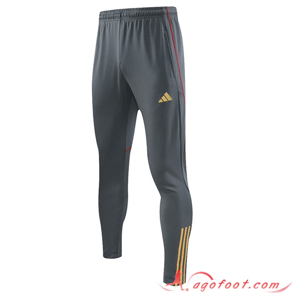 Pantalon Foot Arsenal Gris 2023/2024