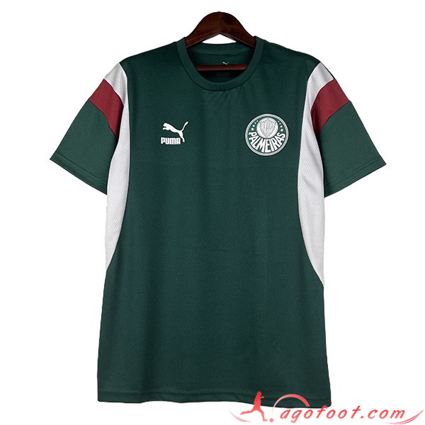 Maillot de Foot Palmeiras Vert 2023/2024