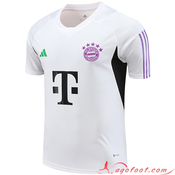 Training T-Shirts Bayern Munich Blanc 2023/2024