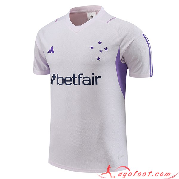 Training T-Shirts Cruzeiro Blanc 2023/2024 -02