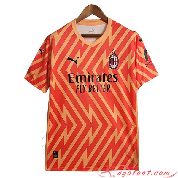 Training T-Shirts Milan AC Orange 2023/2024