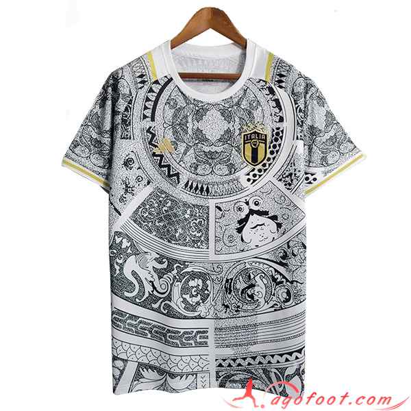 Maillot Equipe Foot Italie Special Edition Gris 2023/2024
