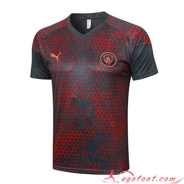 Training T-Shirts Manchester City Gris 2023/2024
