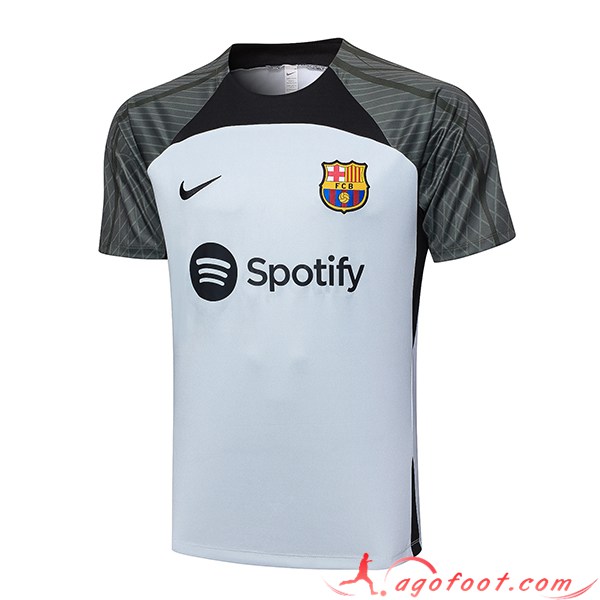 Training T-Shirts FC Barcelone Gris Clair 2023/2024