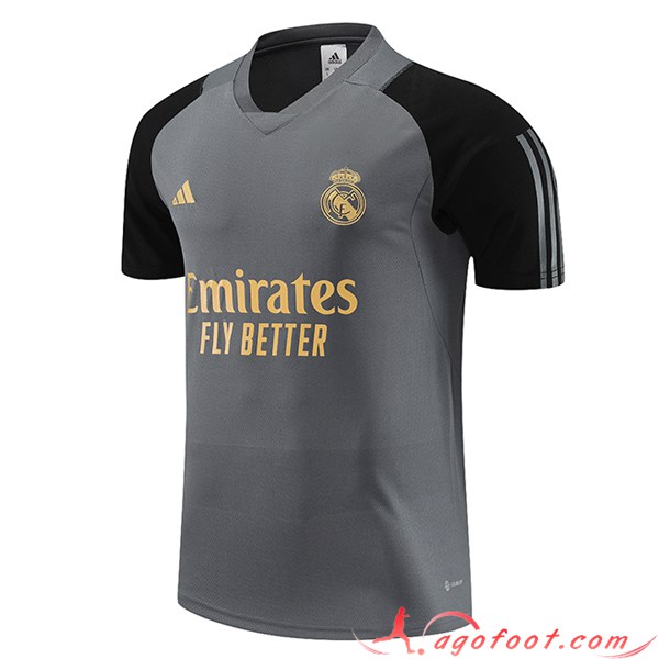 Training T-Shirts Real Madrid Gris 2023/2024