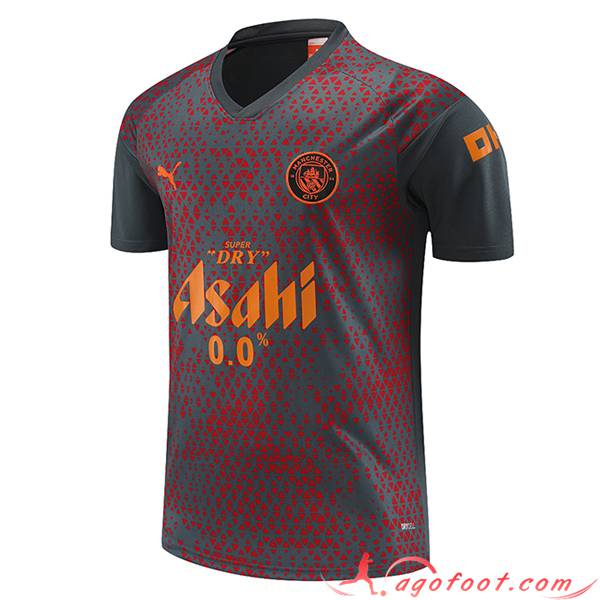 Training T-Shirts Manchester City Gris/Rouge 2023/2024