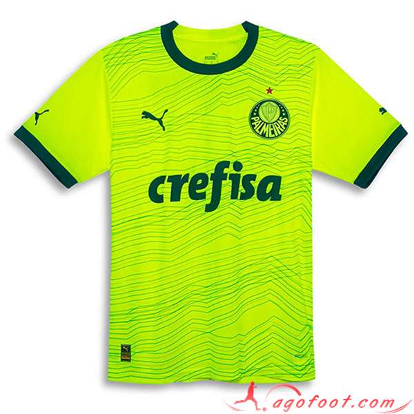 Maillot de Foot Palmeiras Third 2023/2024