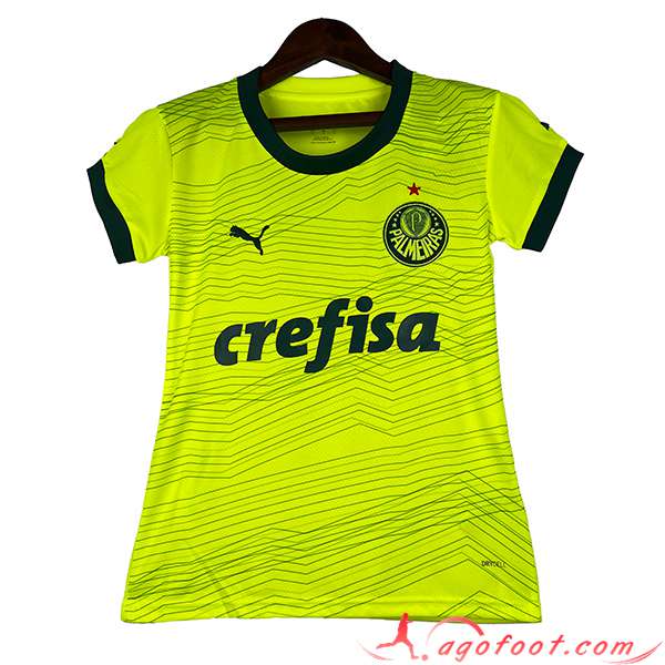 Maillot de Foot Palmeiras Femme Third 2023/2024