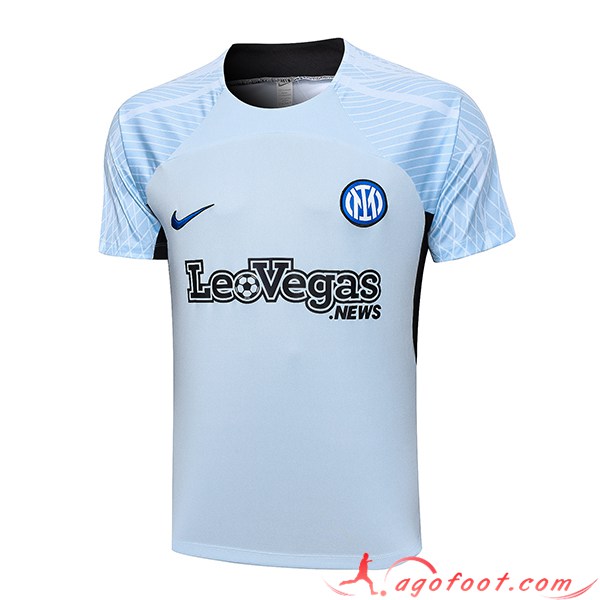Training T-Shirts Inter Milan Gris 2023/2024