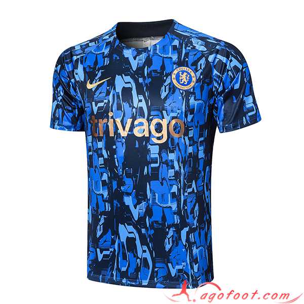 Training T-Shirts FC Chelsea Gris 2023/2024