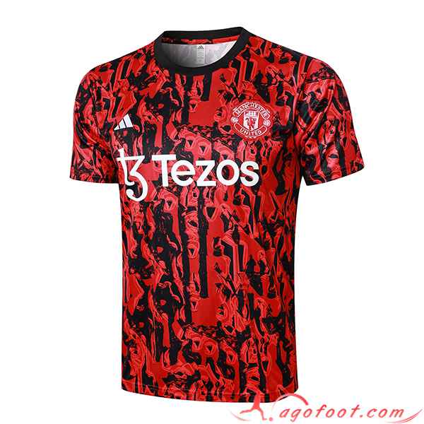 Training T-Shirts Manchester United Gris 2023/2024