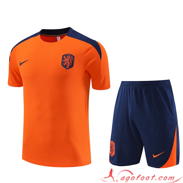 Ensemble Training T-Shirts + Shorts Pays-Bas Orange 2023/2024