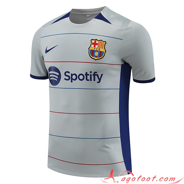 Training T-Shirts FC Barcelone Gris 2023/2024 -03