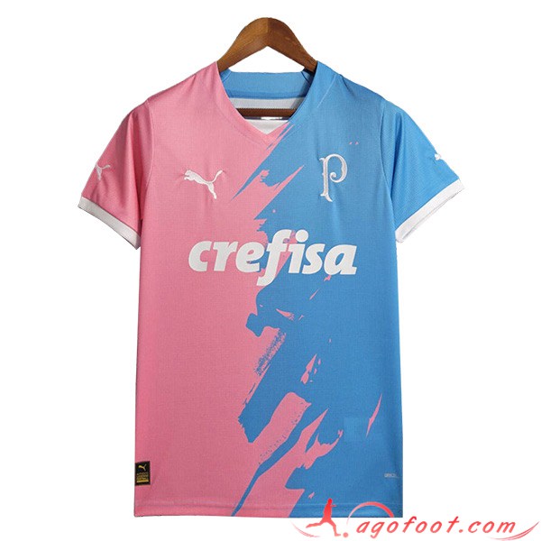 Training T-Shirts Palmeiras Bleu/Rose 2023/2024