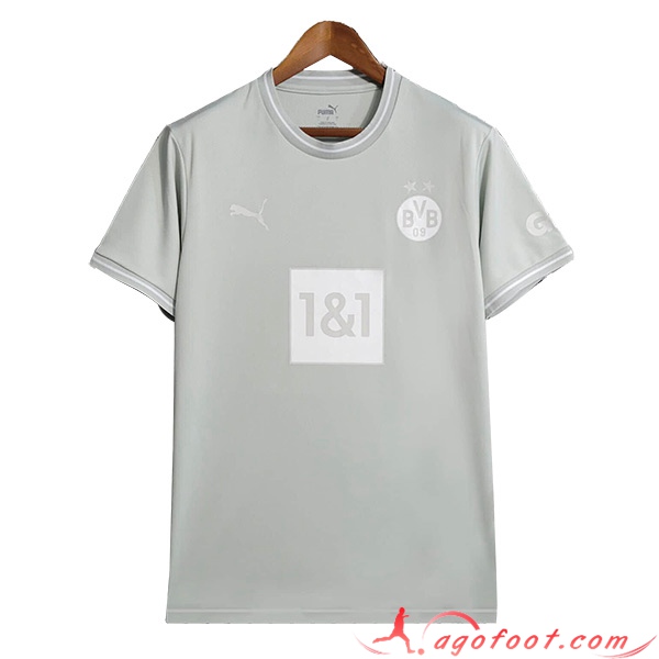 Training T-Shirts Dortmund Gris 2023/2024