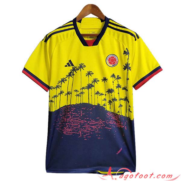 Maillot Equipe Foot Colombie Special Edition 2023/2024