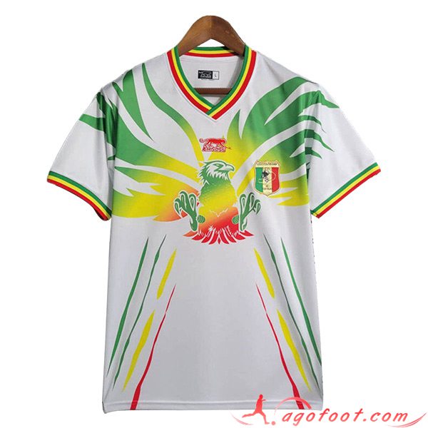 Maillot Equipe Foot Mali Exterieur 2023/2024