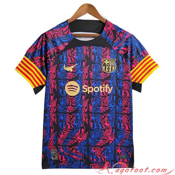Maillot de Foot FC Barcelone 2 Special Edition 2023/2024