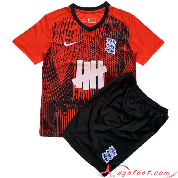 Maillot de Foot Birmingham City Enfant Exterieur 2023/2024