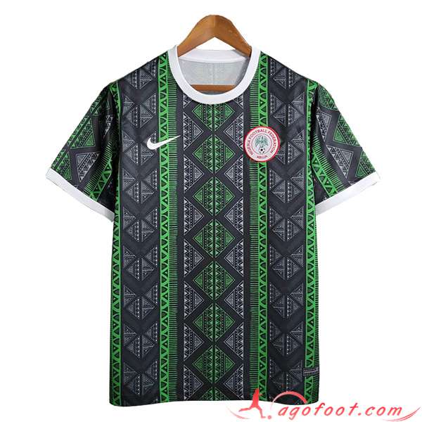 Training T-Shirts Nigeria Vert 2023/2024
