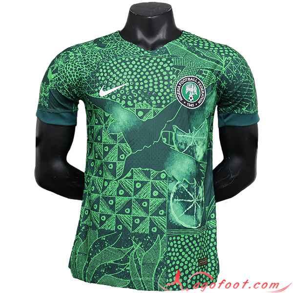 Maillot Equipe Foot Nigeria Special Edition Vert 2023/2024