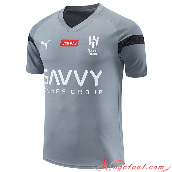 Training T-Shirts Al-Hilal Gris 2023/2024