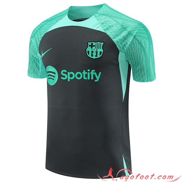 Training T-Shirts FC Barcelone Noir/Vert 2023/2024