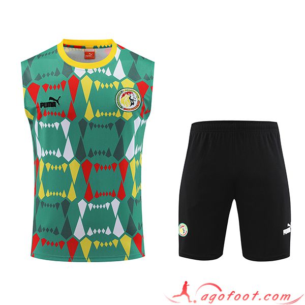 Ensemble Training Debardeur + Shorts Sénégal Vert/Noir 2023/2024