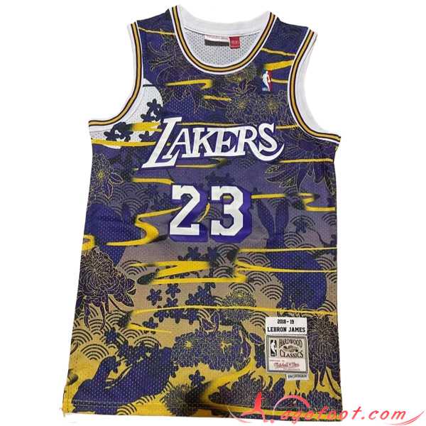 Maillot Los Angeles Lakers (JAMES #23) 2023/24 Pourpre/Jaune
