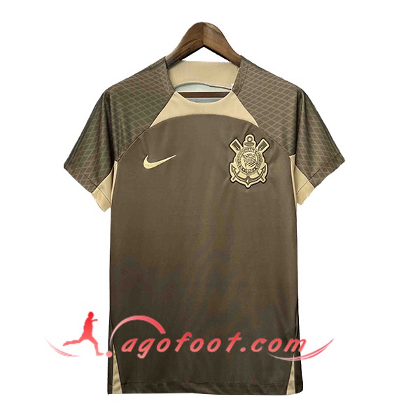 Training T-Shirts Corinthians Vert/Brun 2024/2025