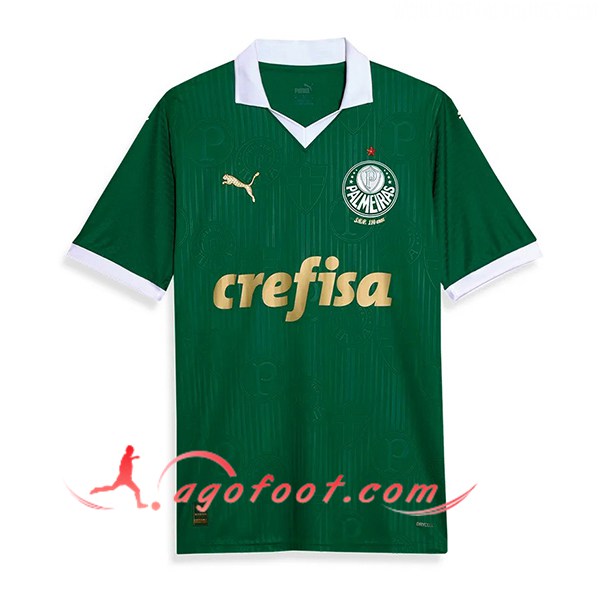 Maillot de Foot Palmeiras Domicile 2024/2025