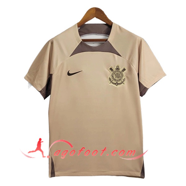 Training T-Shirts Corinthians Brun 2024/2025
