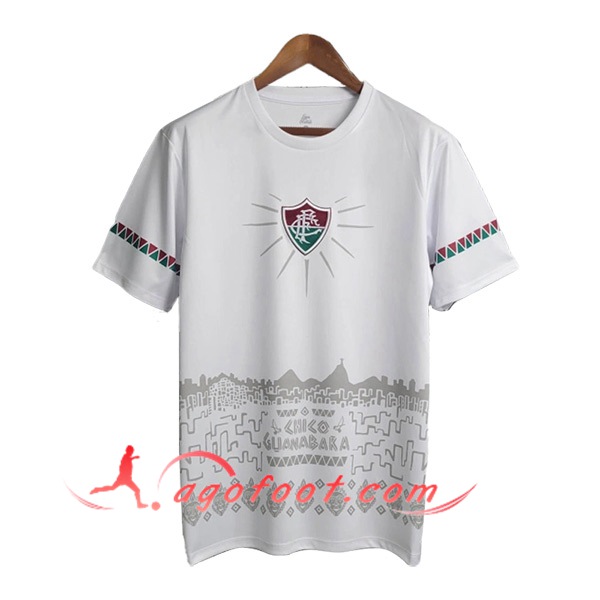 Training T-Shirts Fluminense Blanc/Gris 2024/2025