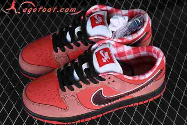 Nike SB Dunk Low Noir/Rouge 313170-661