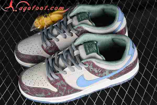 Nike SB Dunk Low Gris/Bleu/Brun FN4193-100