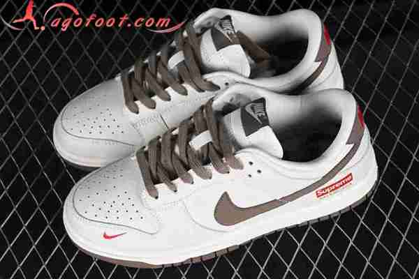 Nike SB Dunk Low Blanc/Brun XD1688-001
