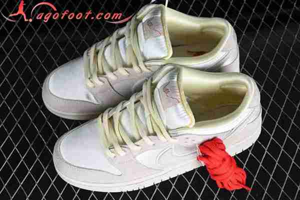 Nike SB Dunk Low Blanc/Gris FZ5654-100