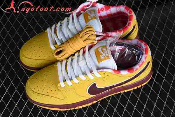 Nike SB Dunk Low Jaune/Brun 313170-137566-02