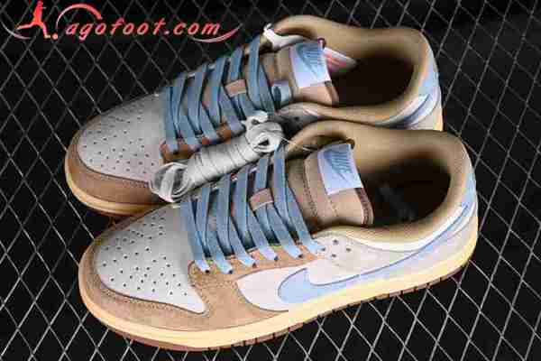 Nike SB Dunk Low Blanc/Brun/Bleu HF0106-100