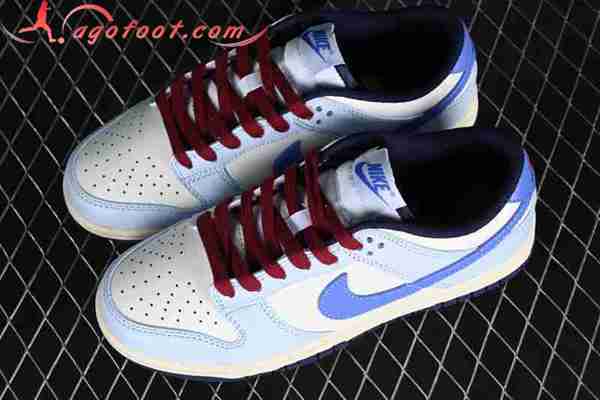 Nike SB Dunk Low Blanc/Bleu FV8113-141