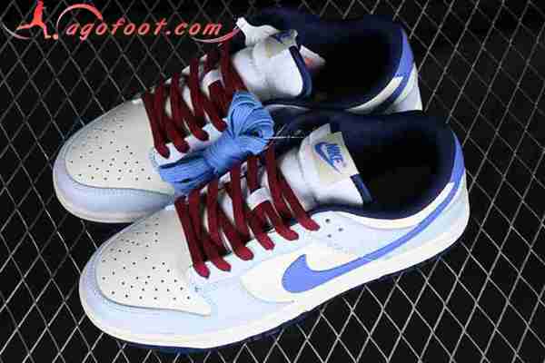 Nike SB Dunk Low Blanc/Bleu FV8113-141 -02