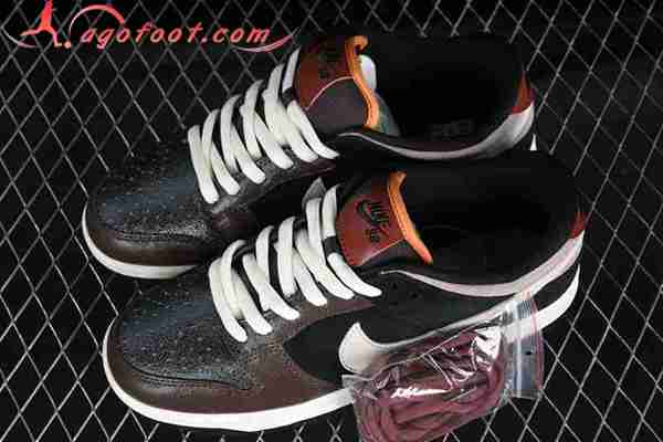 Nike SB Dunk Low Blanc/Noir/Brun 313170-006