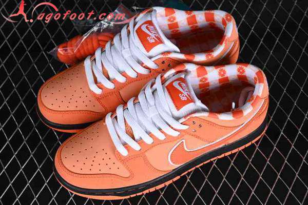 Nike SB Dunk Low Orange FD8776-800-02