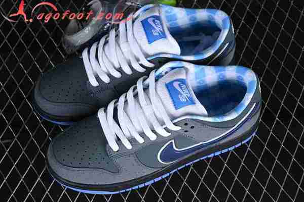 Nike SB Dunk Low Gris/Bleu 313170-342