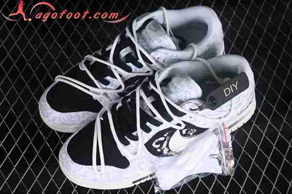 Nike SB Dunk Low Blanc/Noir DJ9955-100