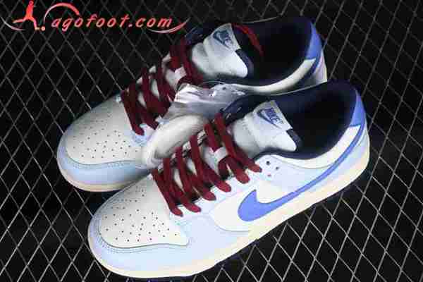 Nike SB Dunk Low Blanc/Bleu FV8113-141