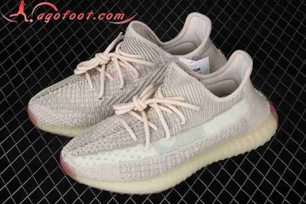 Adidas Yeezy 350 Boost V2 Rose FW5318-02