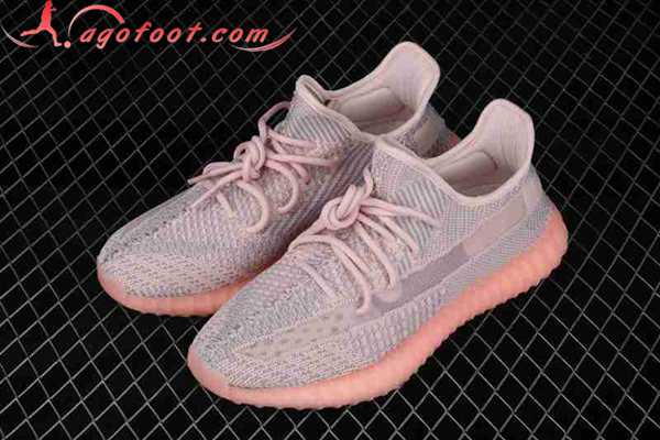 Adidas Yeezy 350 Boost V2 Gris/Rose FQ9008